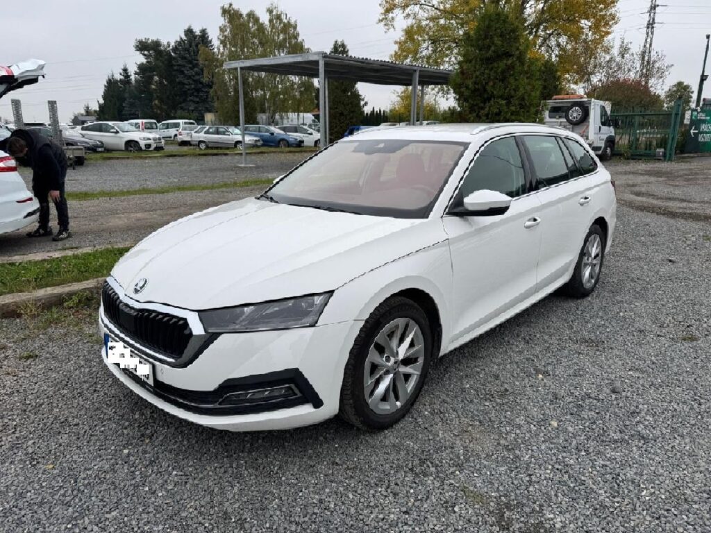 Octavia-4-lp-1024x768 Octavia-4-lp-1024x768
